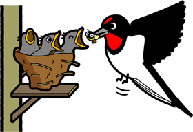 雛に食べ物を運ぶ燕のイラスト ツバメ 鳥 素材のプチッチ