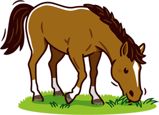 馬/牧草を食べるのイラスト
